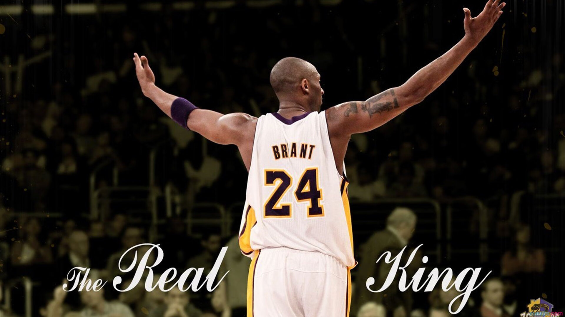 韩国仰泳选手状态逐渐回暖，仰泳主演