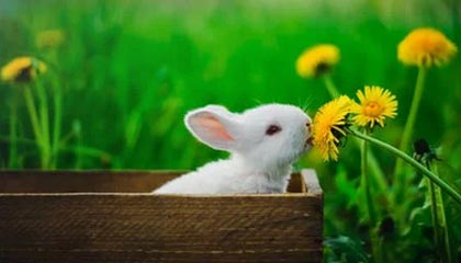 九游娱乐(jiuyou)官网-快船计划组织封闭战术演练提升配合度，快船模式