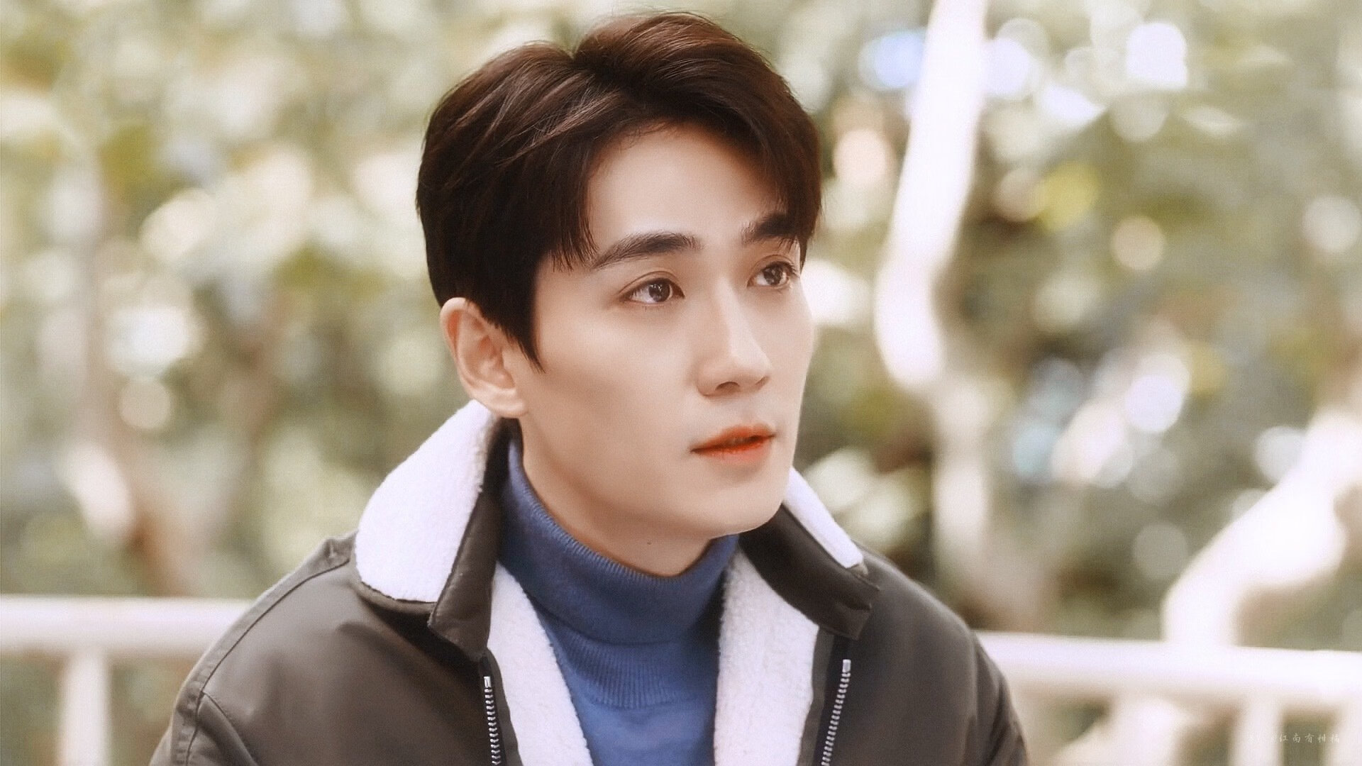 意大利马术队在2024年欧洲三项赛锦标赛中以“Team Spirit”马匹获得团体银牌，展现强大实力。