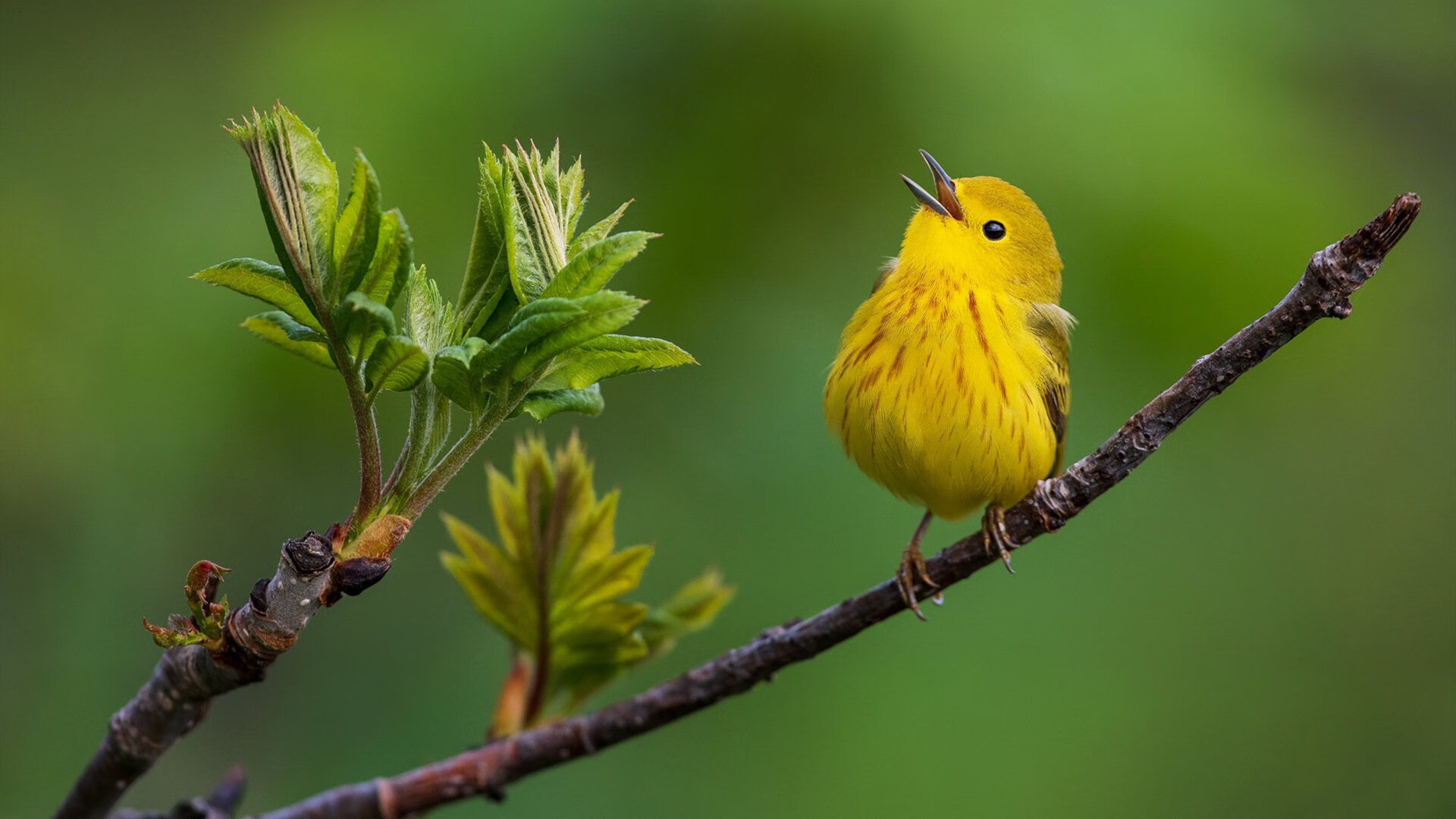 九游电子竞技-教练的战术哲学：是什么让他们成为时代的佼佼者？，战术教练员集训