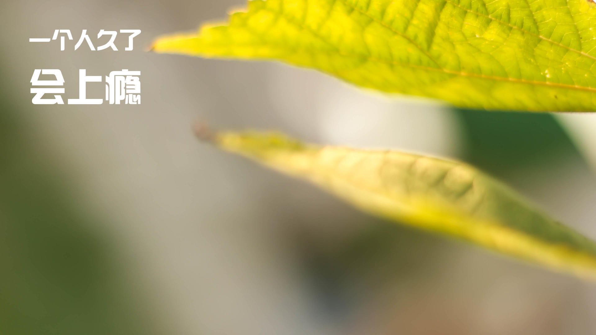 九游娱乐官方平台-新星崛起，日本足球迎来希望！，日本足球太强了